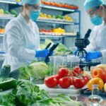 Qui doit suivre la formation HACCP ?