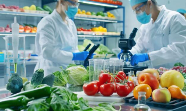 Qui doit suivre la formation HACCP ?