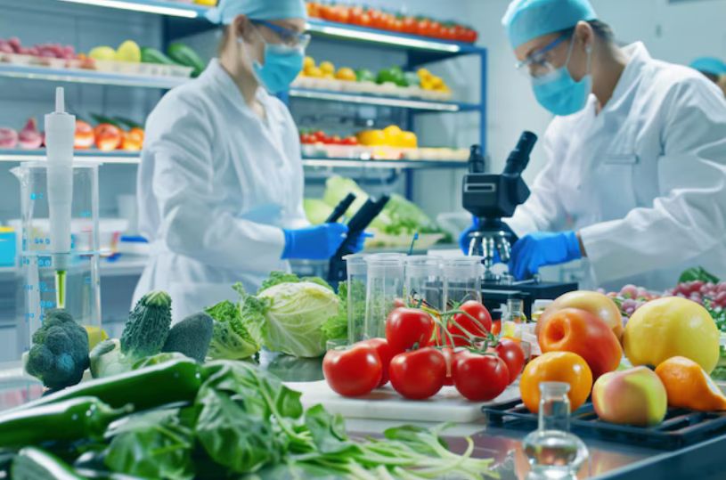 Qui doit suivre la formation HACCP ?