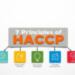 Quels sont les 7 principes du HACCP ?